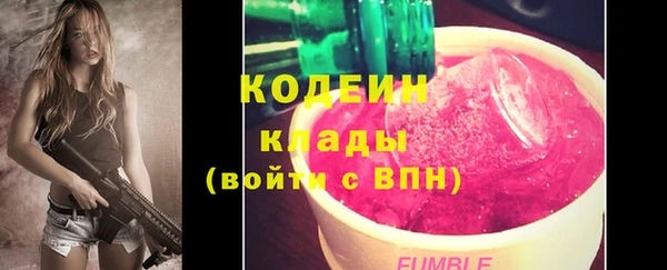 шишки Елизово