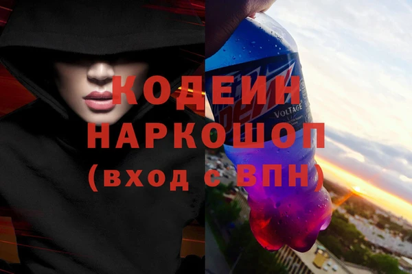 шишки Елизово