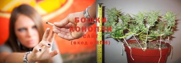 шишки Елизово