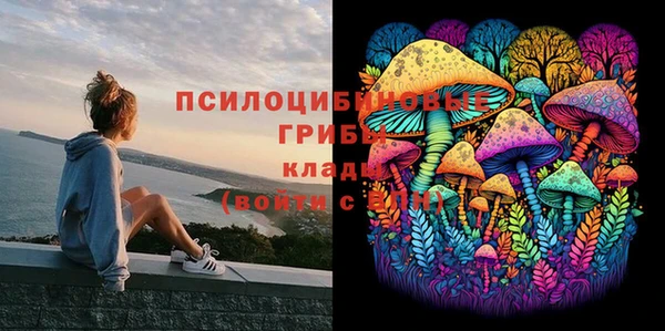 стаф Киреевск