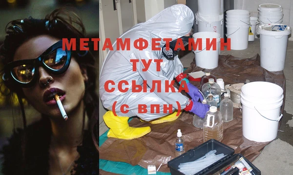 шишки Елизово