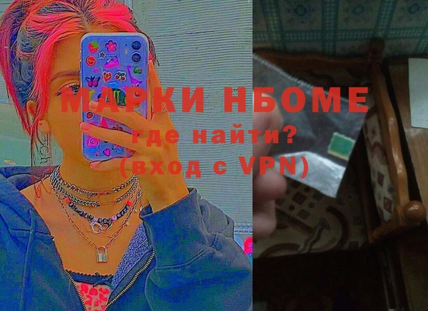 шишки Елизово