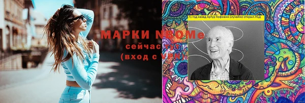 шишки Елизово
