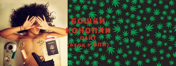 шишки Елизово